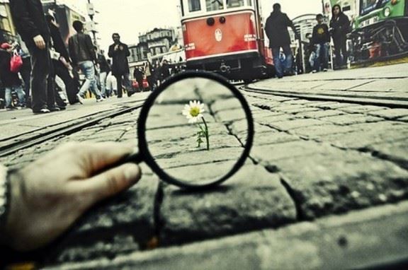 佛弟子没有情敌