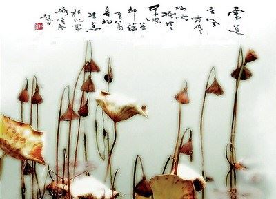 怎样实践佛法(徐恒志居士着)