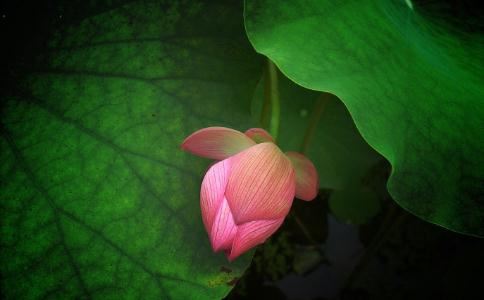 人生路上总是受挫是业障太重吗？