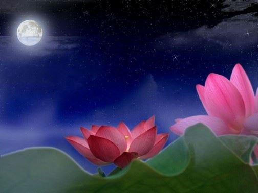 有缘即住无缘去，一任清风送白云