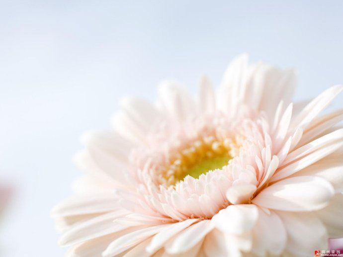 戒淫最简单而有效的方法