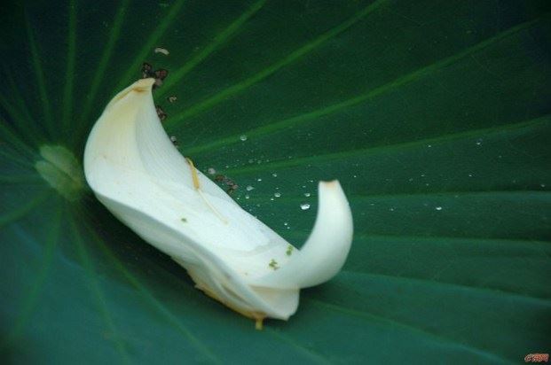 《心经》白话文详解