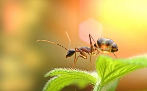 轮回的路上，你遇见了谁？