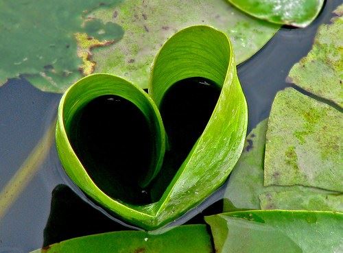 太子修行究竟涅盘成瞿昙佛陀