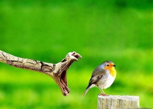 裸体迦叶的故事