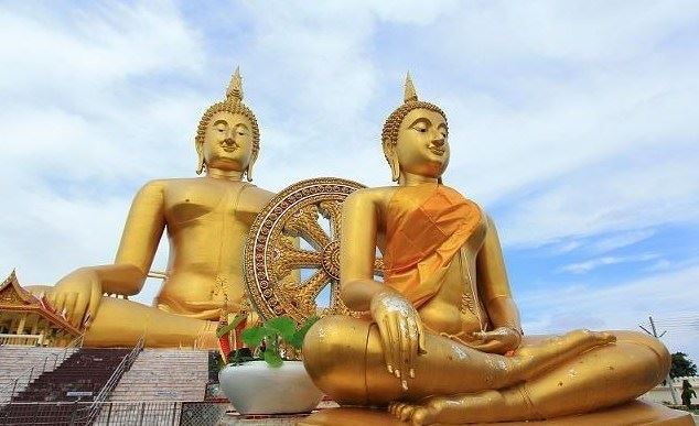 素食戒杀：天下最大恶行就是杀生