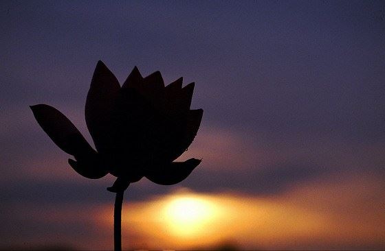 学佛者注意啦啊，祖师教给我们的念佛方法还真是了得