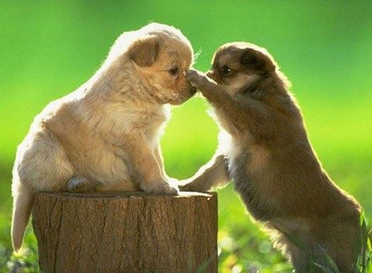 一天之中应怎样如理如法的思维