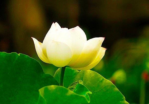 前世今生中你我或许都是和尚