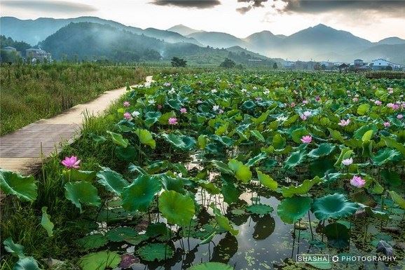 大势至菩萨这个名号