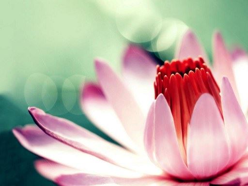 佛教如何看待吸烟？