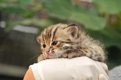 追寻适意的人生