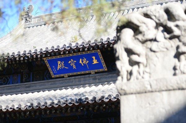 如何修持才能真正往生西方极乐？