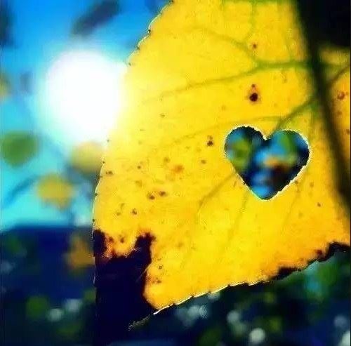 多少人错怪了佛菩萨的感应？