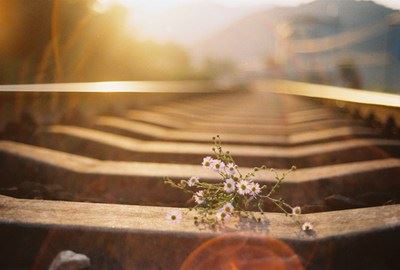 出家修行与在家修行有何不同?