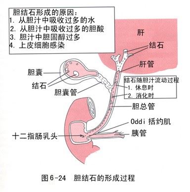只有戒淫的人才会有的面貌和精气神