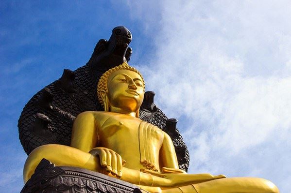 人生因选择而精彩