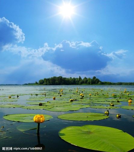 佛门是清净庄严之地，穿着打扮也有讲究