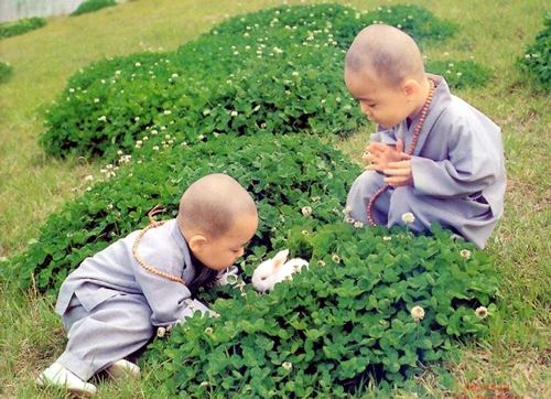 佛教早晚课诵的意义