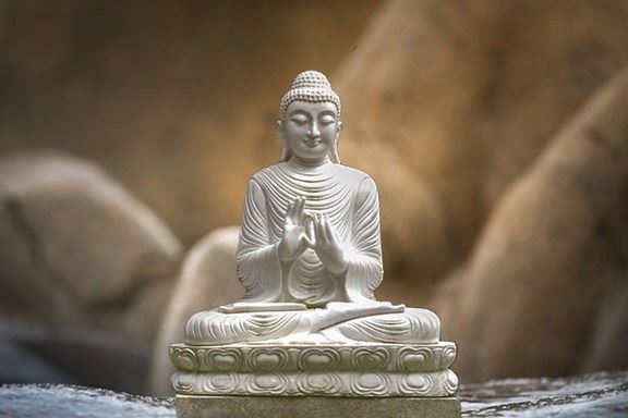 怎么样忏罪？念阿弥陀佛就是忏悔罪过