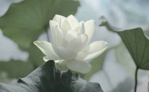 佛说：想开了就是完美