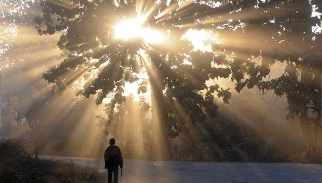 应酬中喝酒吃肉是恒顺众生吗？