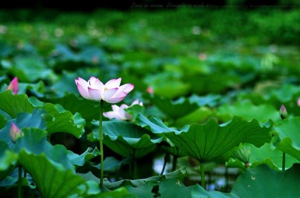 只要用心，遍地皆是功德