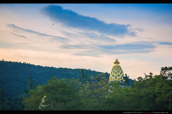 世界因你而变得温柔