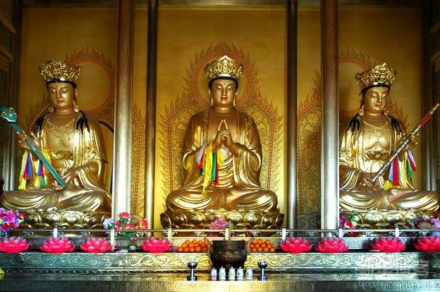 怎么修宽容？一颗宁静的心