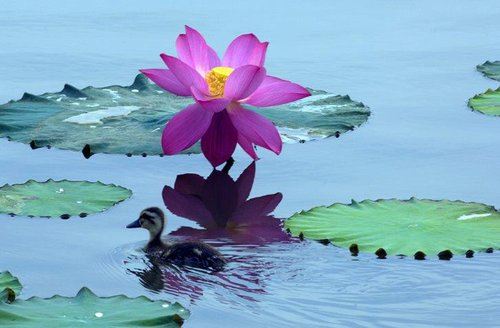 佛说如何才能真正忏悔自己的罪业