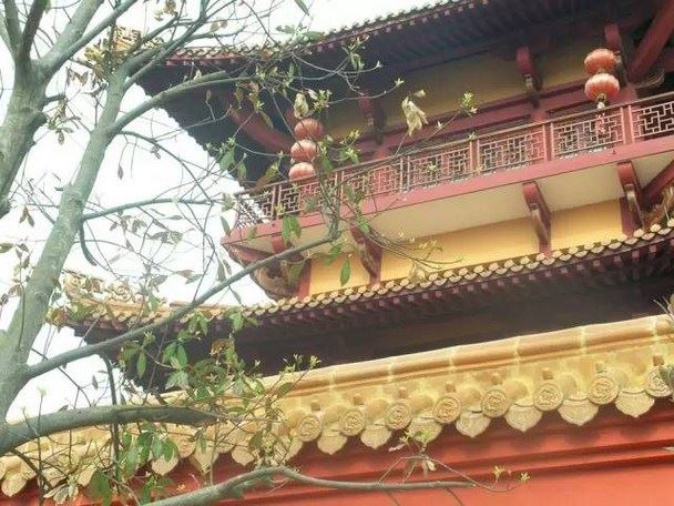 善念，开出最美的花朵