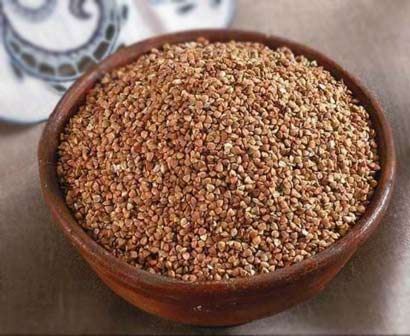 我们应该读什么经书？