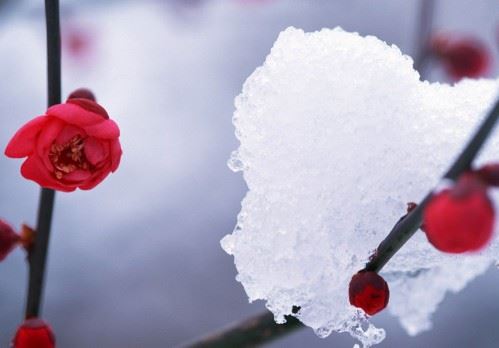 佛教中所指的“空性”究竟该如何正确理解？