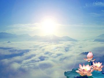 佛教中的吉祥八宝具体指的是什么？