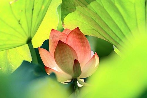 戒邪淫，要对自己正确认识