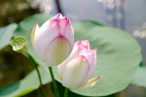 珍惜这些让你人生变得更丰盈的“麻烦”