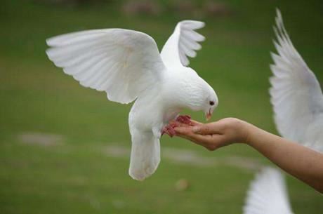 什么是般若，什么是般若圆满