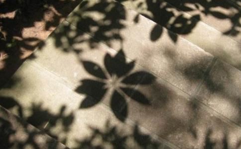 探讨不二法门的修学要领