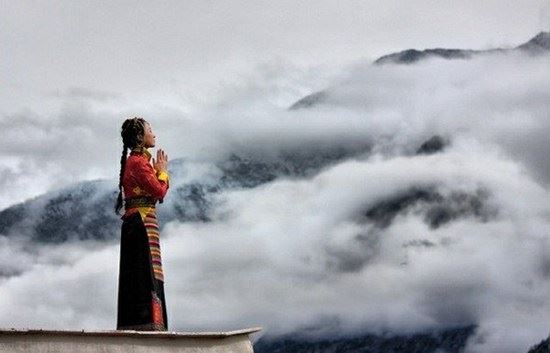 佛教的物种起源说