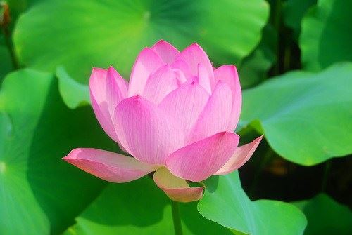 当你有了天眼，你会为你吃的每一口肉哭得死去活来