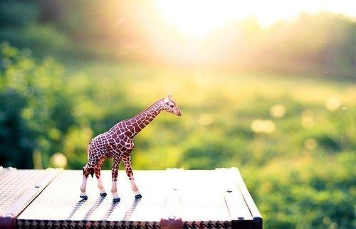 真正的修行，如何才能找到自己的心？