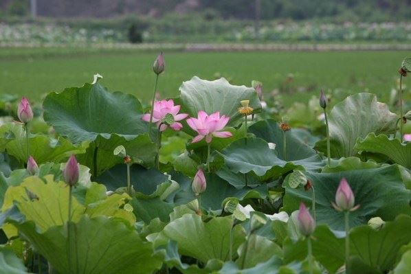 佛陀详解:子女与父母的前世业因