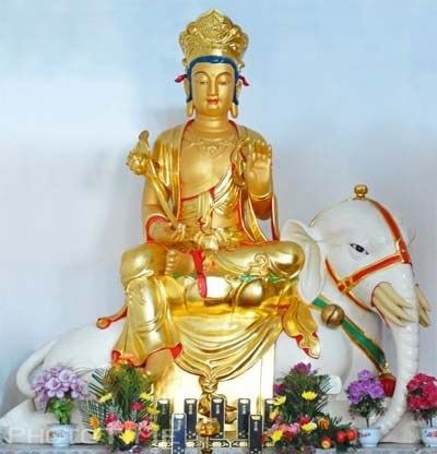 老夫妻诵经后9个儿子全死亡地藏菩萨梦中示现原因