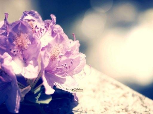 舒展心灵的桃花源