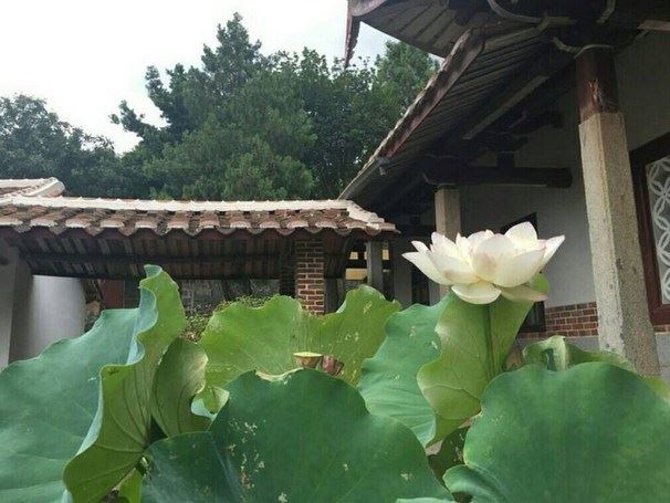 浅谈普贤王如来、五方佛、释迦牟尼佛之间的关系