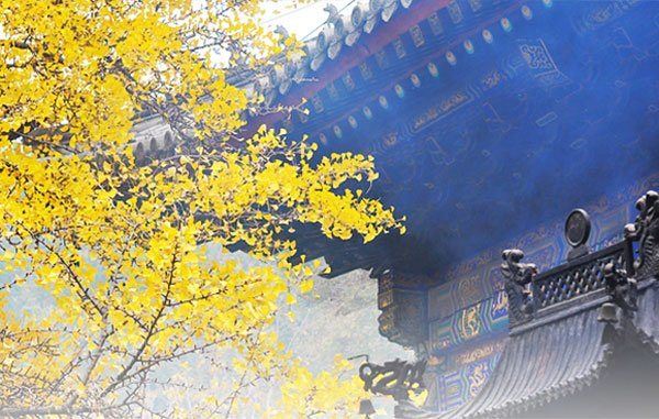 出离心和菩提心是怎么修出来的?