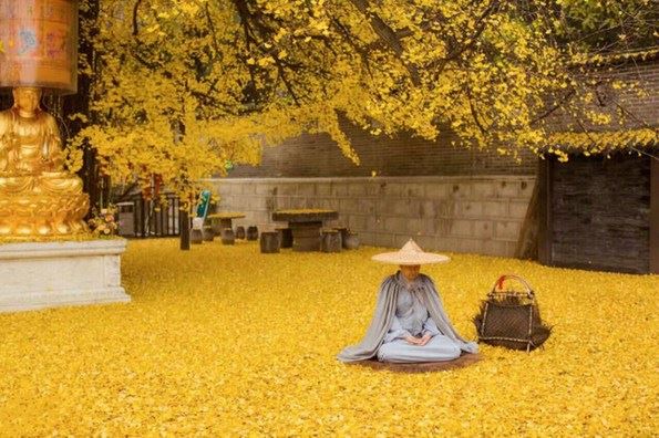 我们如何学习地藏菩萨的“孝道”精神？