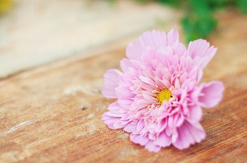 受持《金刚经》的方法