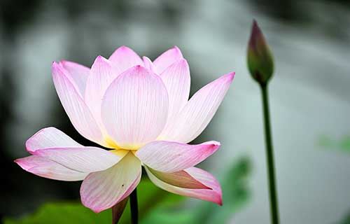 佛教中什么叫缘分，什么叫一个人是与佛有缘的人？