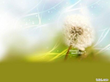 在寺院吃斋饭必须要知道的常识